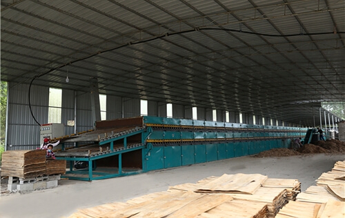 旋切單板92午夜福利视频